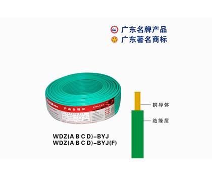 WDZ(A B C D)-BYJ齭